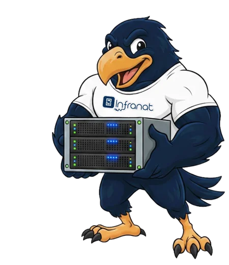 Expertise Infogérance